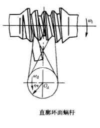 直廓環面蝸桿