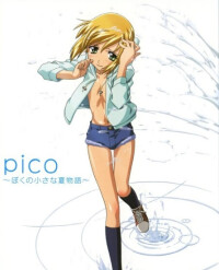 PICO