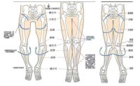 O、X型腿的糾正