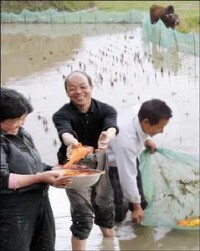 旺庄街道漁業示範園