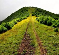 馬擺大山