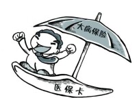 城鄉居民大病保險