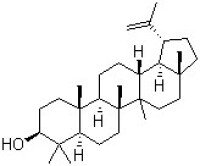 結構式