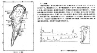 仁愛礁