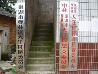 大汪村[安徽巢湖市槐林鎮大汪村]