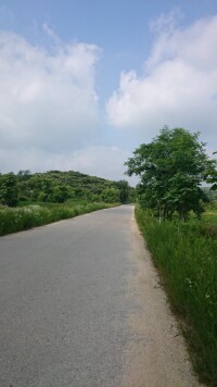 長川村[遼寧省東港市前陽鎮下轄村]