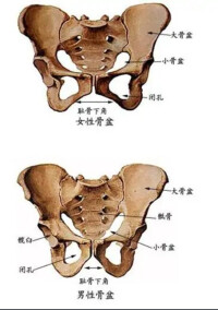 骶髂關節疼痛