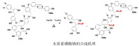 木質素磺酸鈉的合成方法與機理