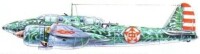 川崎2式雙座重型戰鬥機“屠龍”改型丁