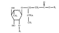 鼠李糖脂化學分子式