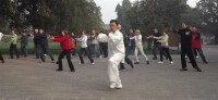 徠陳飛鴻帶領外國學生習練陳式太極拳