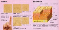 指紋分析圖