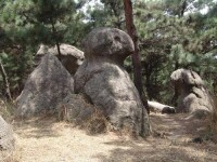 孟良崮國家森林公園