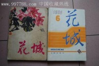 《花城》雜誌圖片