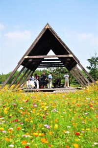 上海濱江森林公園