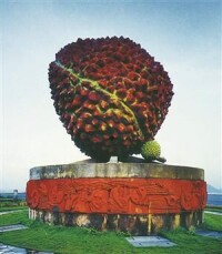 創世界吉尼斯記錄的大荔枝雕塑