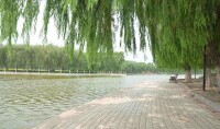 聊城湖濱公園