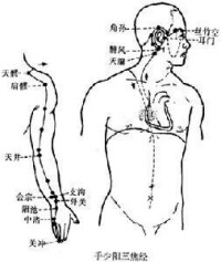 手少陽三焦經