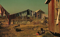 大蕭條期間美國窮人居住的貧民窟