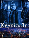 Kryminalni (sezon 1)