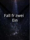 Fall für zwei, Ein